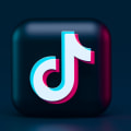 How do i optimize my budget and targeting options for my tiktok ads campaigns to get better results?
